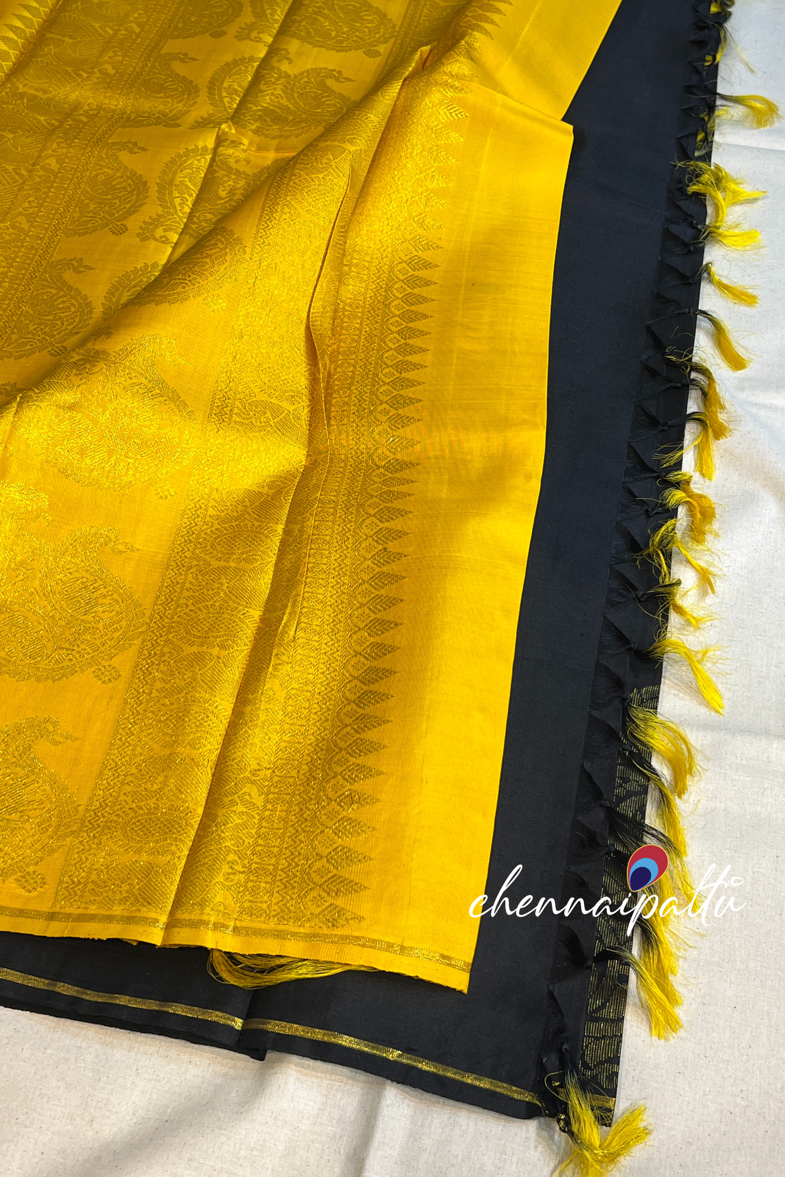 Vinusha : Kanchipuram soft silk - A Cascade of Timeless Grace with Contrast Blouse Piece