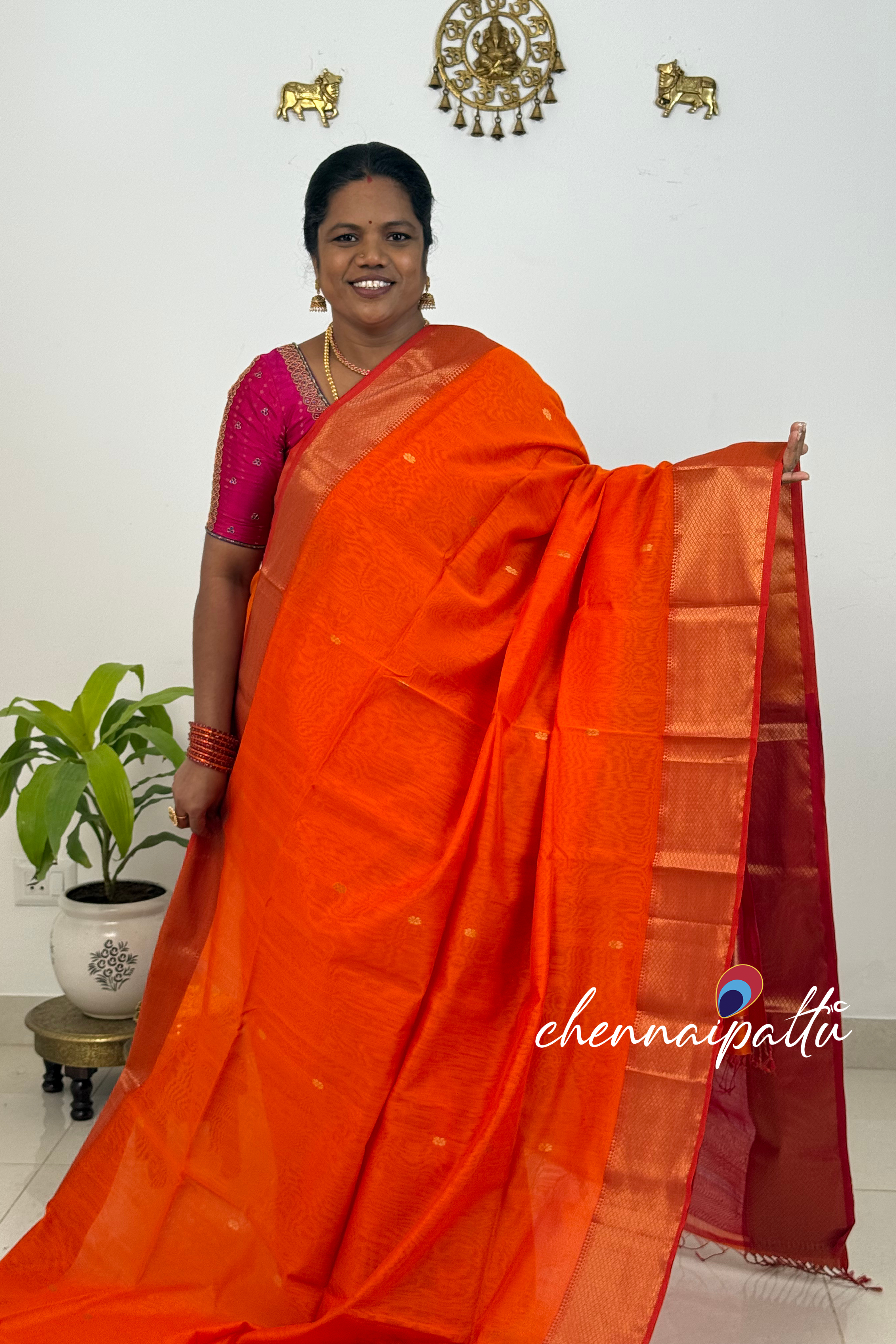 JEEVA – Maheshwari Silk Cotton Saree | Blouse Attached