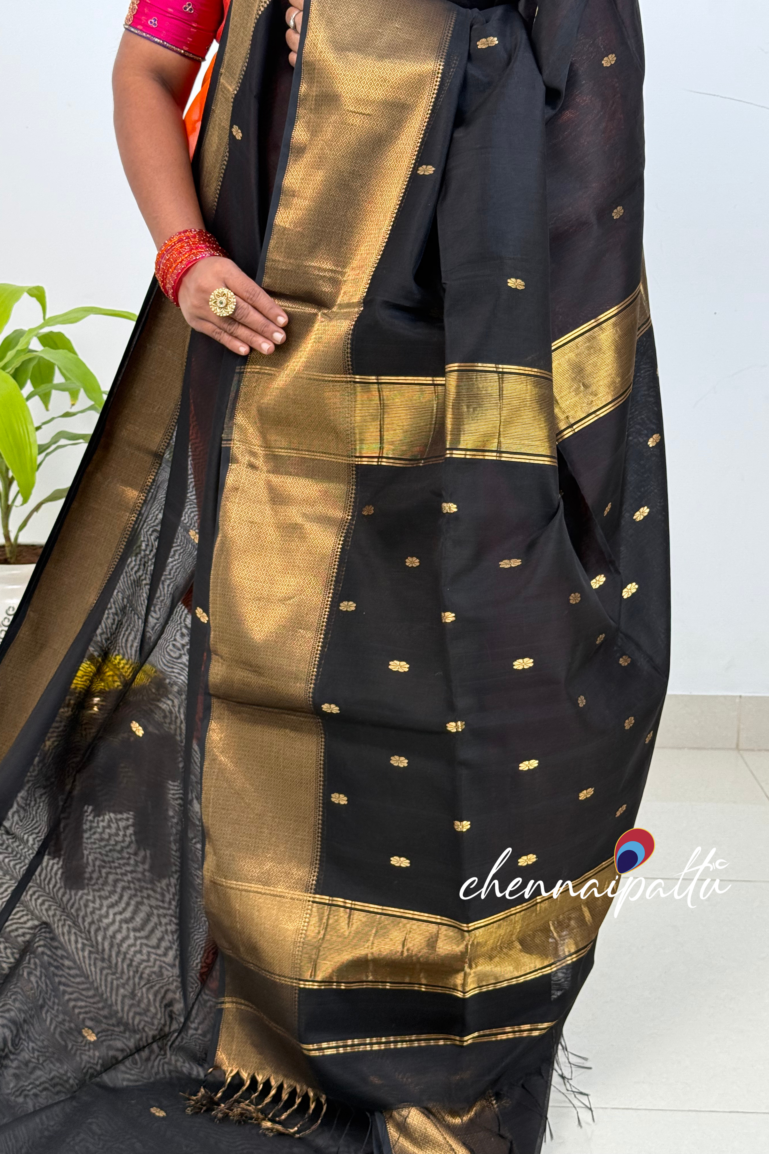 JEEVA – Maheshwari Silk Cotton Saree | Blouse Attached