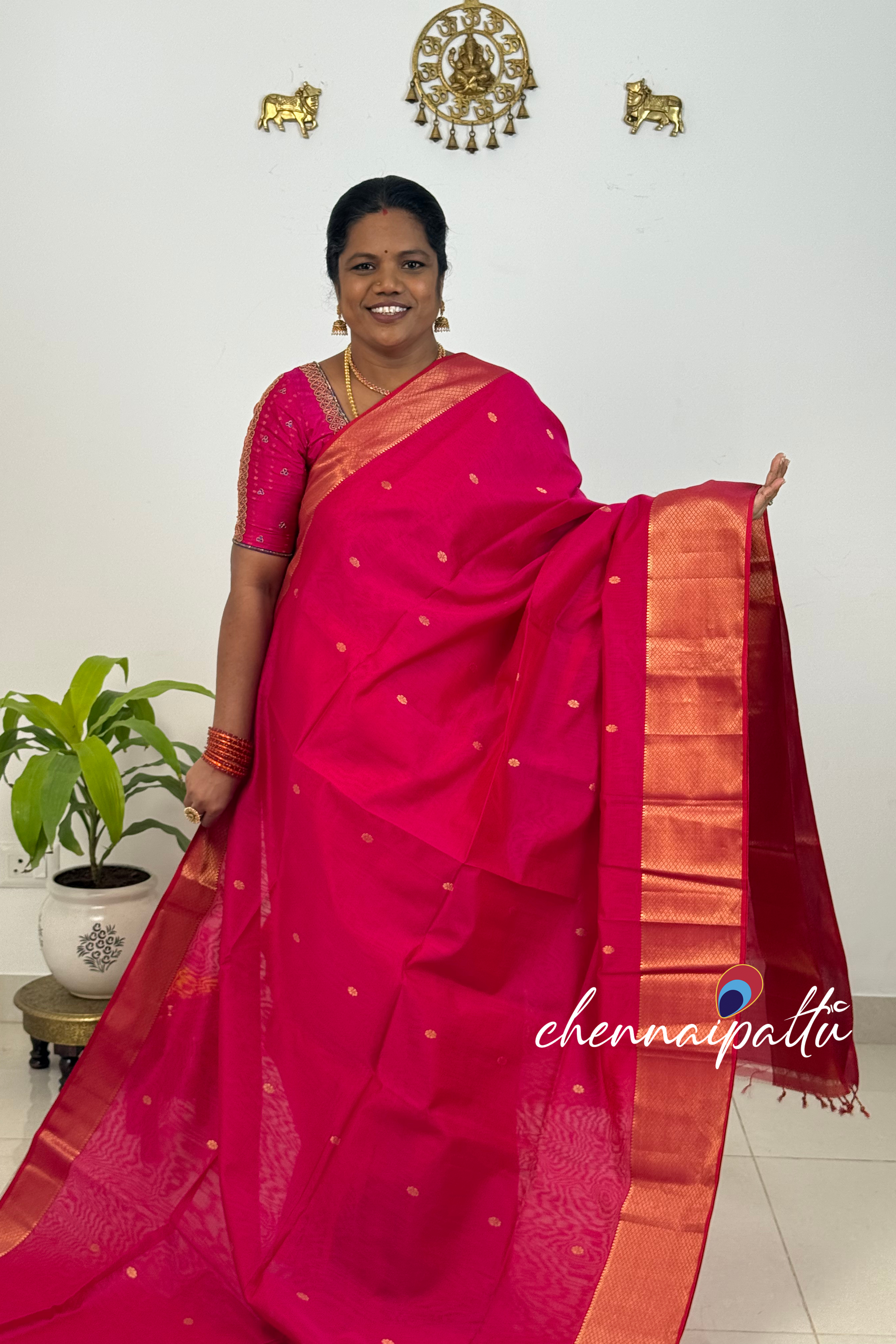 JEEVA – Maheshwari Silk Cotton Saree | Blouse Attached