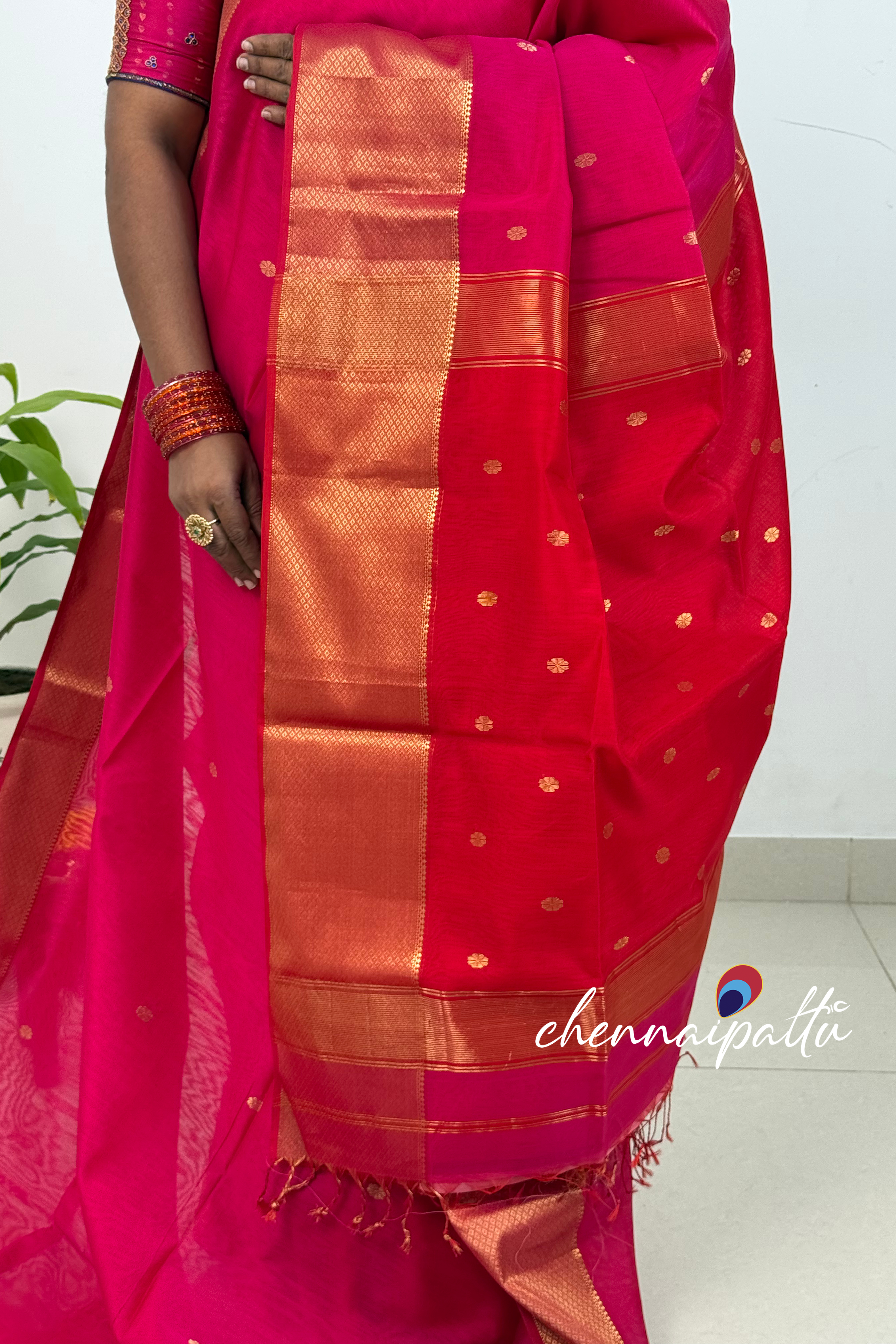 JEEVA – Maheshwari Silk Cotton Saree | Blouse Attached