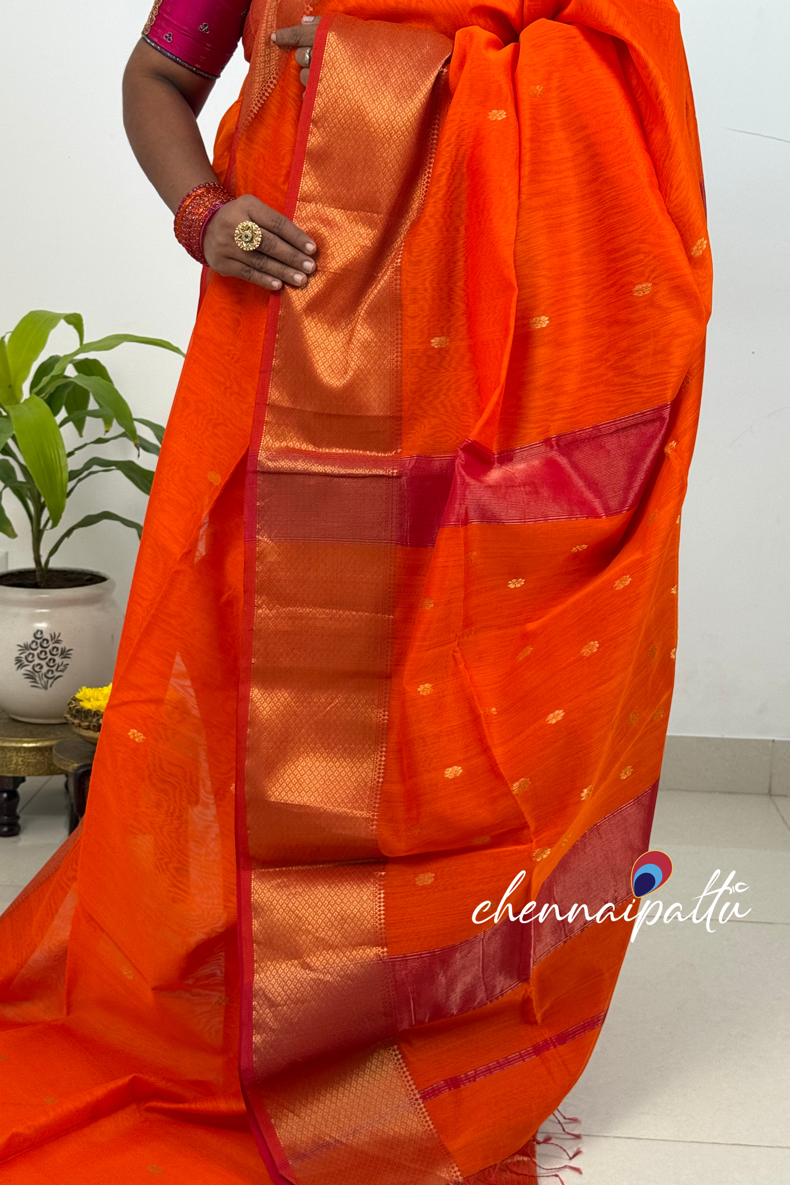 JEEVA – Maheshwari Silk Cotton Saree | Blouse Attached