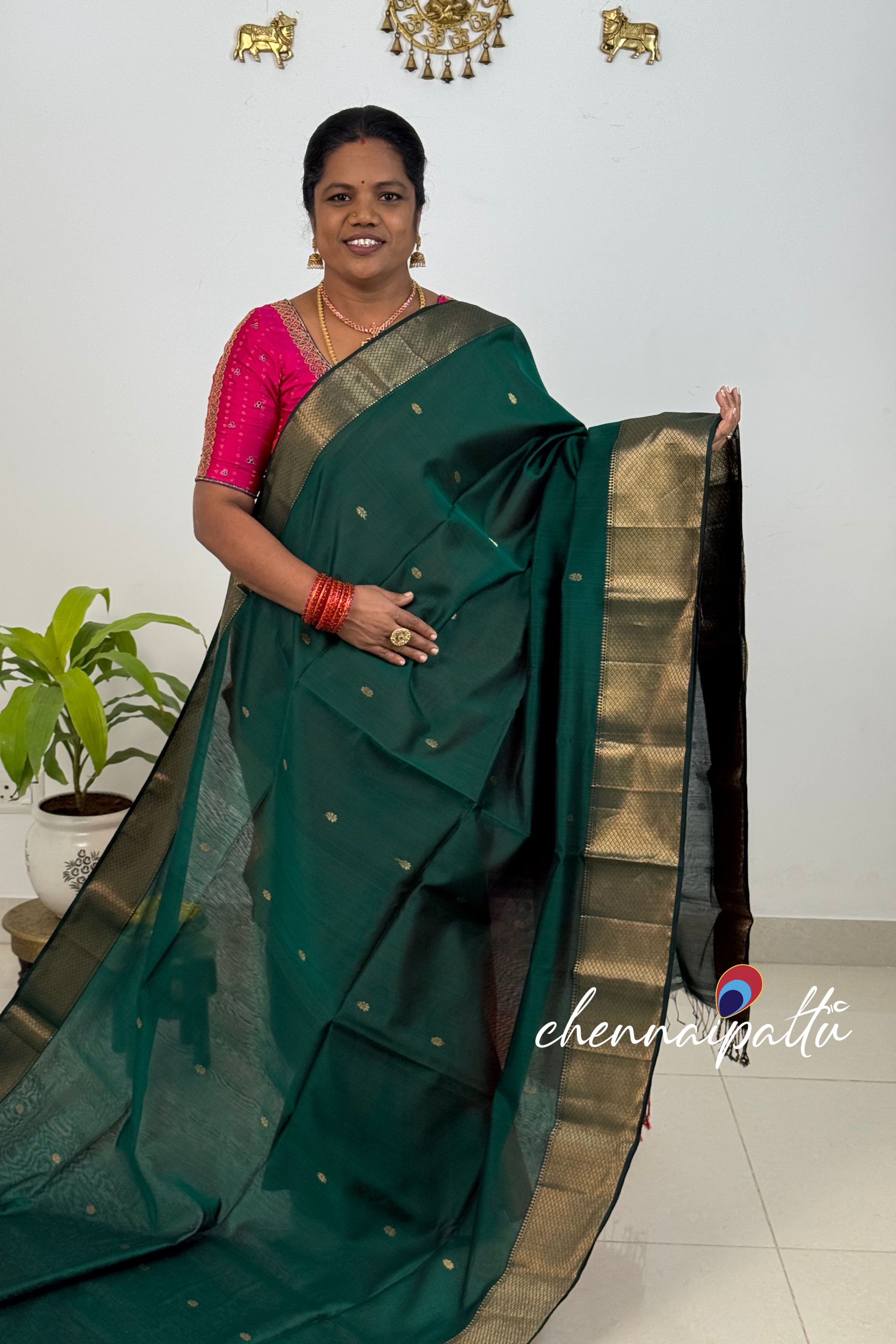 JEEVA – Maheshwari Silk Cotton Saree | Blouse Attached
