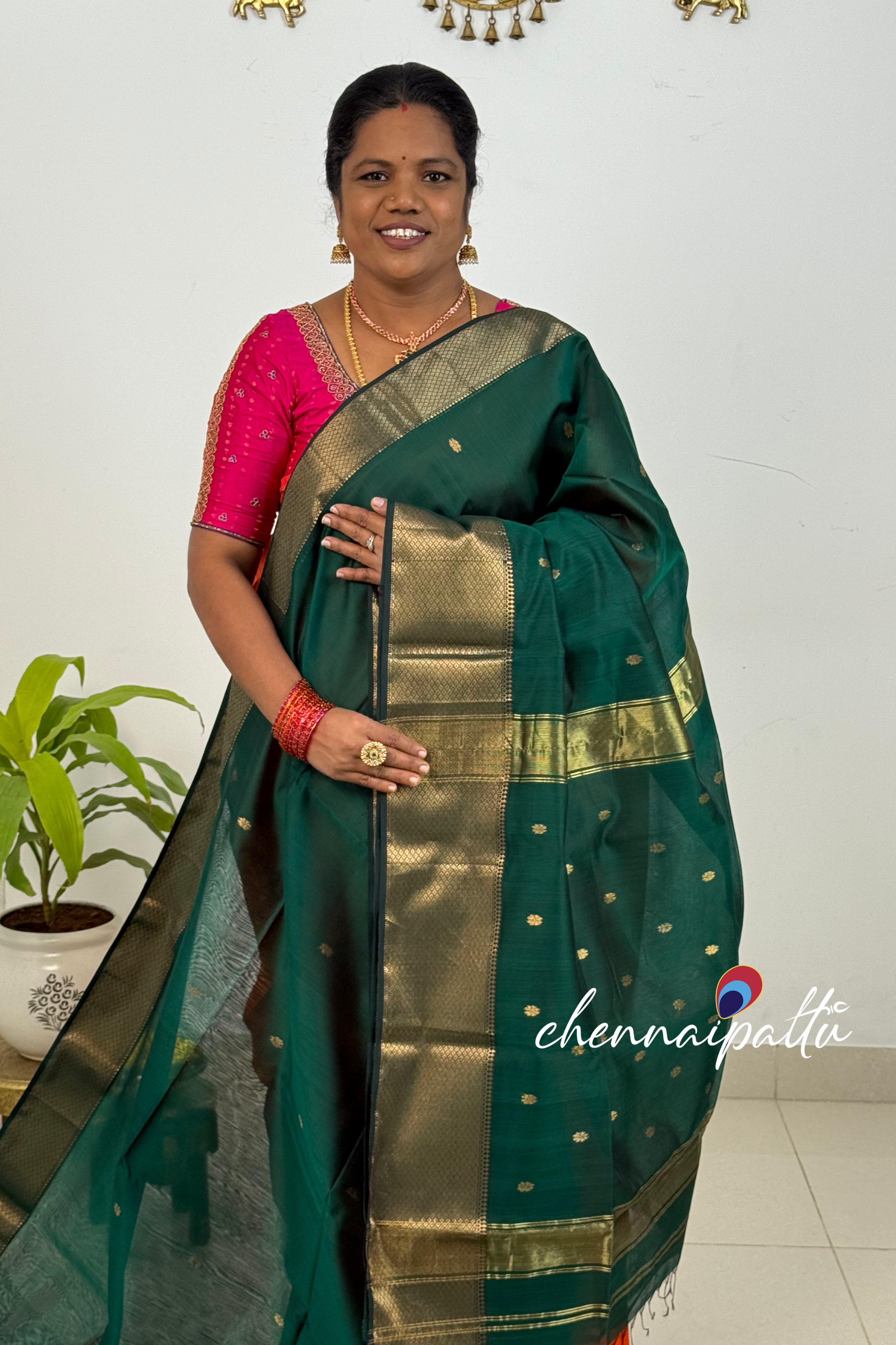 JEEVA – Maheshwari Silk Cotton Saree | Blouse Attached
