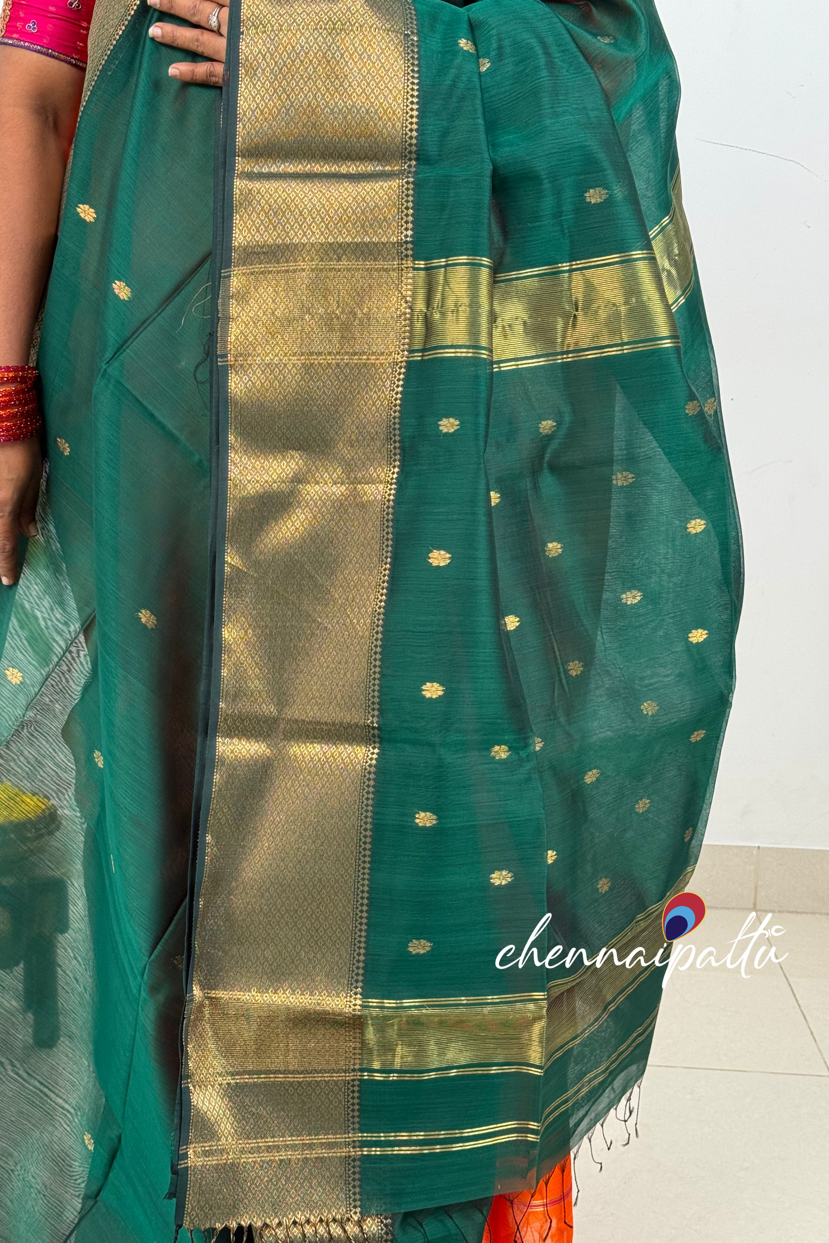 JEEVA – Maheshwari Silk Cotton Saree | Blouse Attached
